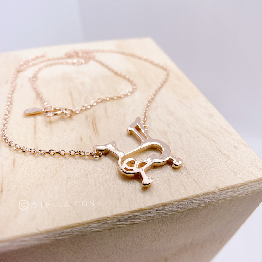 Dainty .925 Sterling Silver Indoor Exercise Cycle Necklace.