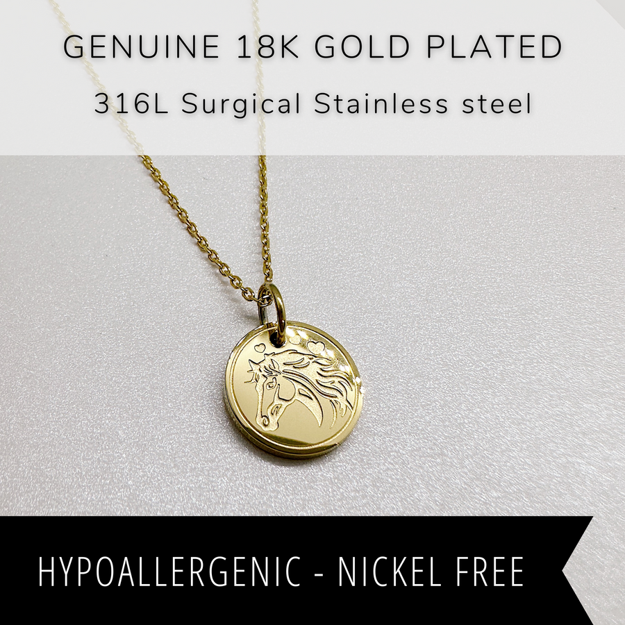 18K gold plated equestrian disc charm necklace.