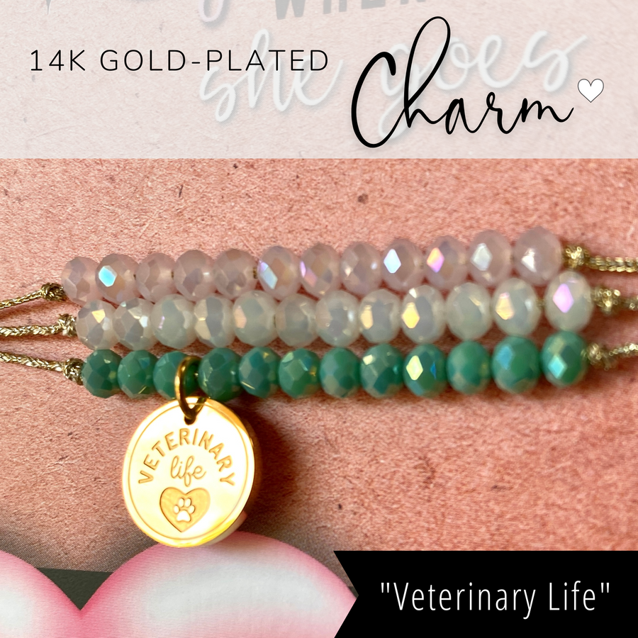 Veterinary Life Charm Bracelet Set with 14K Gold plated 'Veterinary Life' charm.